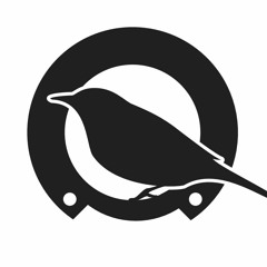 Soft Option by De La Creme Soundsystem