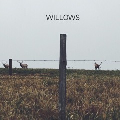 Willows