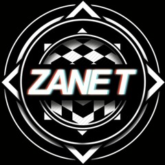 ZANE T. Bootlegs, Edits, VIPs
