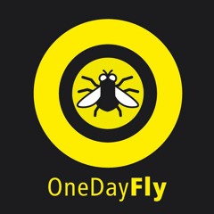 One day fly