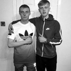 Bradley Hollows