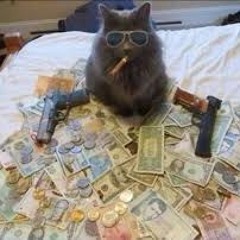 MAX$$$$$