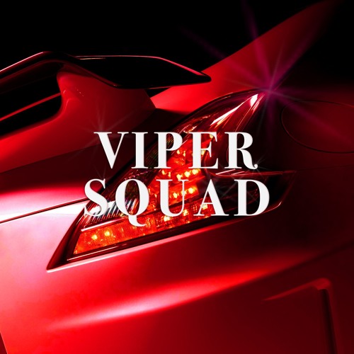 VIPER SQUAD’s avatar