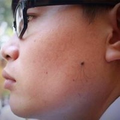 Trịnh Ngọc Thế