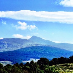 Chris Elliot  / Cruachan Trax