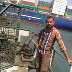 محمود المنسي