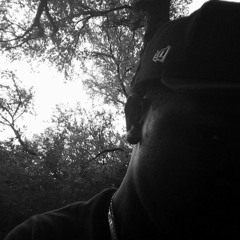 Sweetwater León (D.Perry)