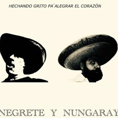 Negrete y Nungaray
