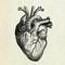 broken heartz