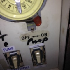 Young Cholesterol Beats