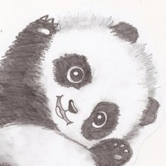 xXBriThePandaXx