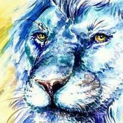 SilverLion