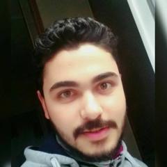 amr mashaly