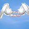 user1100146