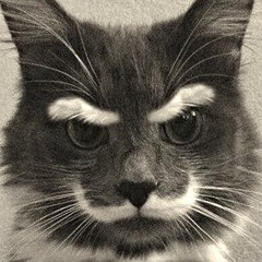 (廣東話 - 長夜)아이유 IU - Through the night 夜信 밤편지-  cover +3 male ver.