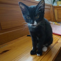 HelloI´mMrsHabbetasher