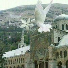 Bouran Bakkoura