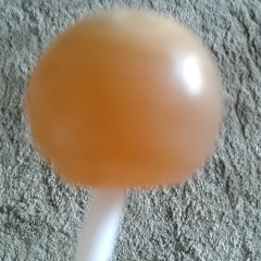 lollipop girl😀😀