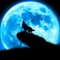 Jack Wolf