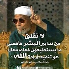 عادل الشيمي