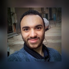 Ahmed S. Abdel Salam