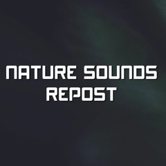 NatureSoundsRepost