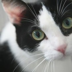 Bhaskar UDUPA (RIPU)