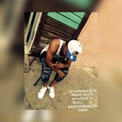 Junior Tu Real Brown