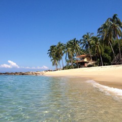 Nicholas Ustaran-Anderegg