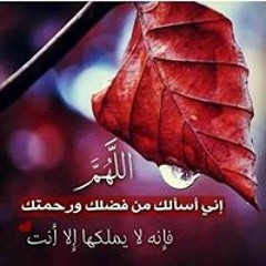 Mohamed Mansour