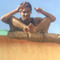 anas galadi