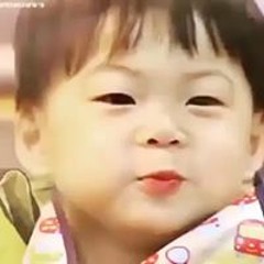 Hải Hà