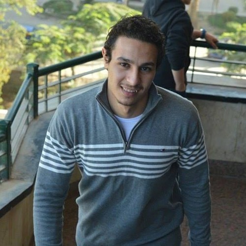 Mahmoud EL-Ghitany’s avatar