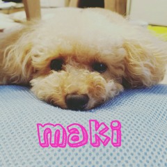 ☆maki☆