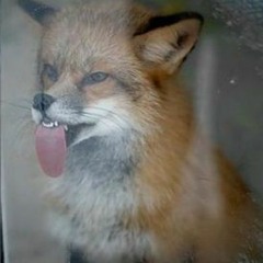 Кофе На Четверых