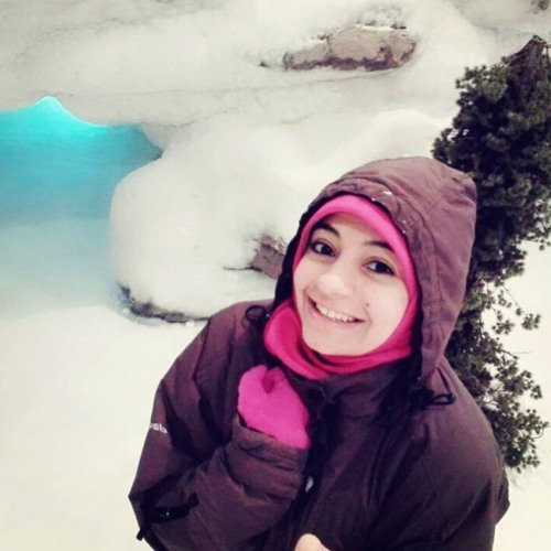 Asmaa Mohsen’s avatar