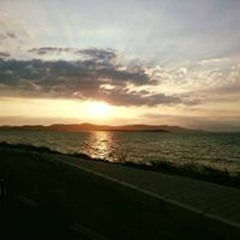 Sezgin Altikardaslar