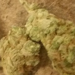 kushman