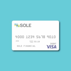sole financial