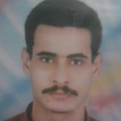 ابراهيم عبد المحسن