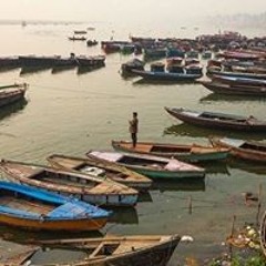 Гуля Алиева