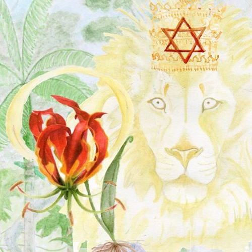 7 - JUNTOS CAMINHAR(estúdio)