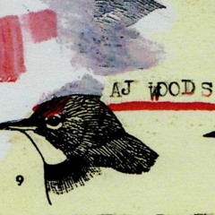 AJ Woods