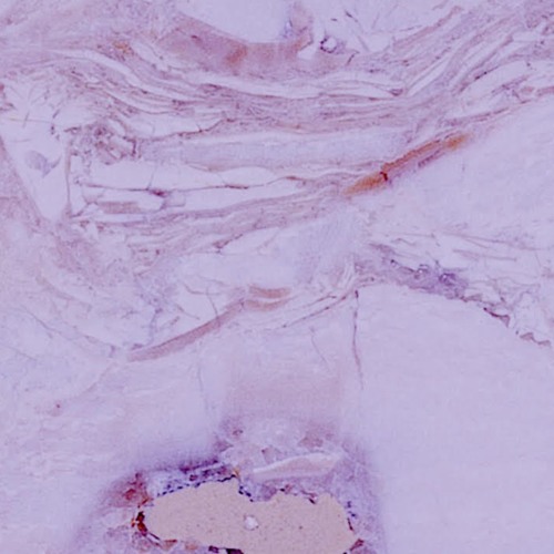 Breakfast At Tiffany's