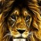 Kacper