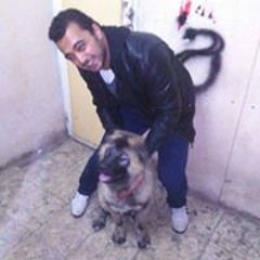 Sheko