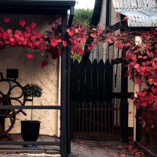 مقطع من سورة النساء الشيخ ابو الوفا الصعيدي