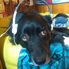 InkognitoProduções