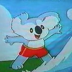 a_koala