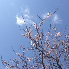 Yukiossun…(^_^)